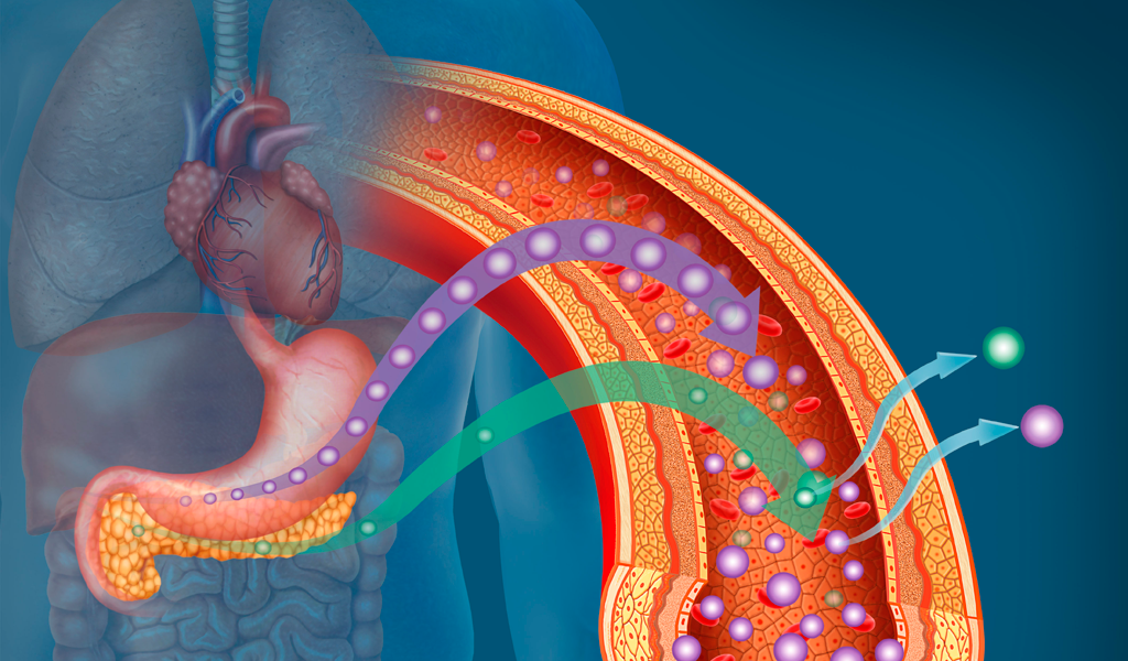 Dieta saludable y equilibrada para la diabetes para una mejor salud